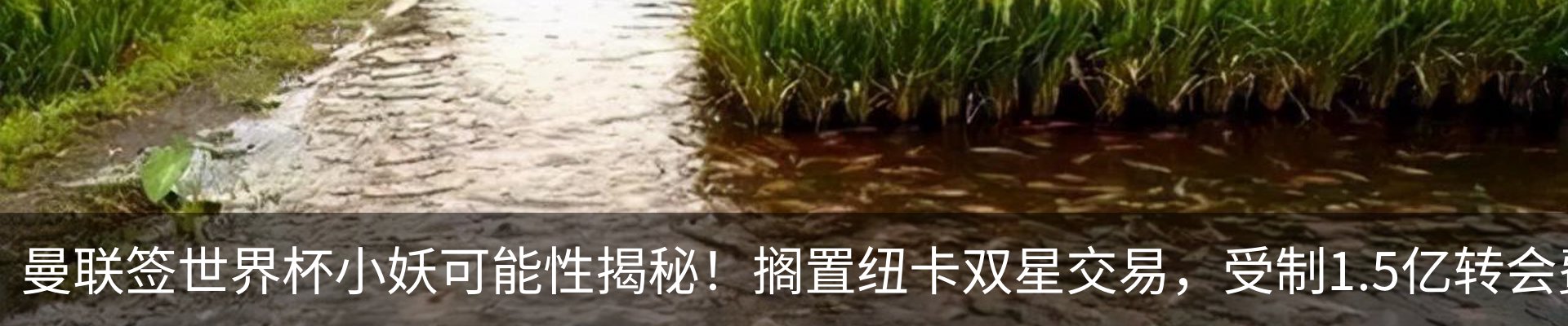资讯中心